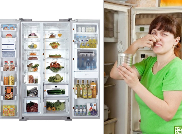 쉽게 냉장고 냄새 제거하는 간단한 방법 꿀팁 7가지