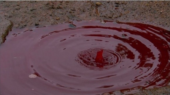 [미스터리]인도에 내린 '붉은 비'의 진실