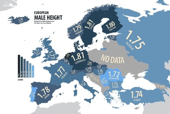 유럽 남성 평균키