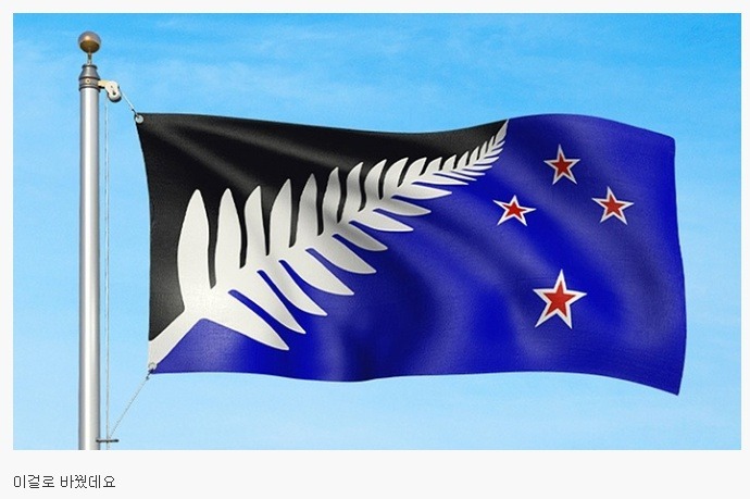 새로운 뉴질랜드 국기.JPG