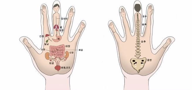 손과 손가락 모양으로 알 수 있는 건강신호 6가지