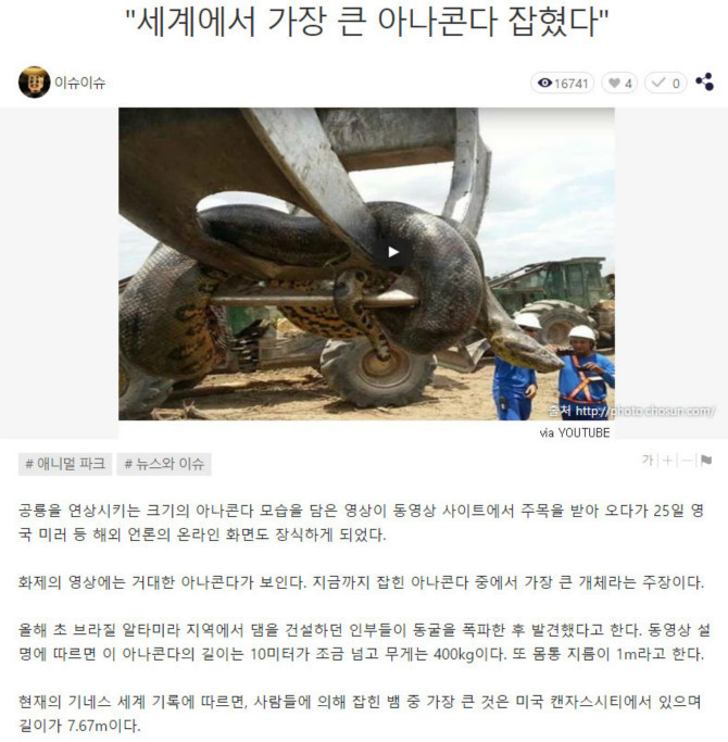 세계에서 가장 큰 아나콘다 잡혔다