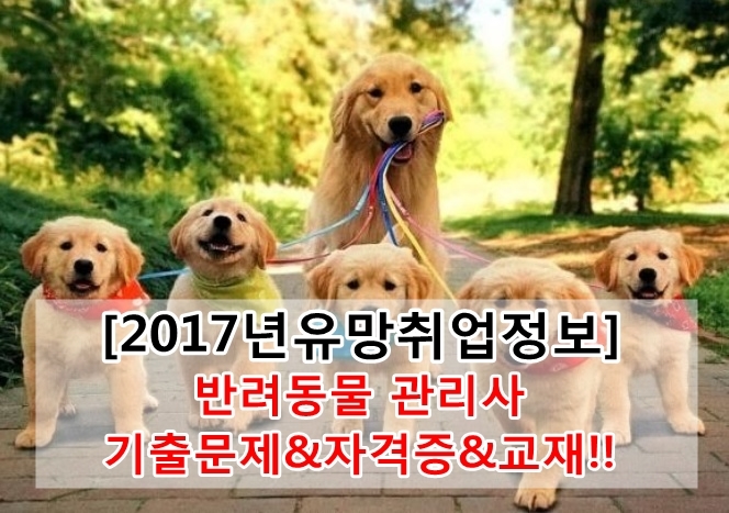 [2017유망취업정보]반려동물 관리사 기출문제&자격증&교재!!