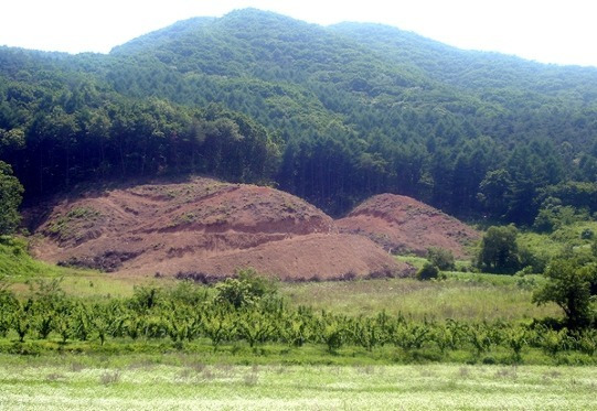 '불법 산림훼손', ‘가벼운 처벌’로 되풀이...이이재 의원