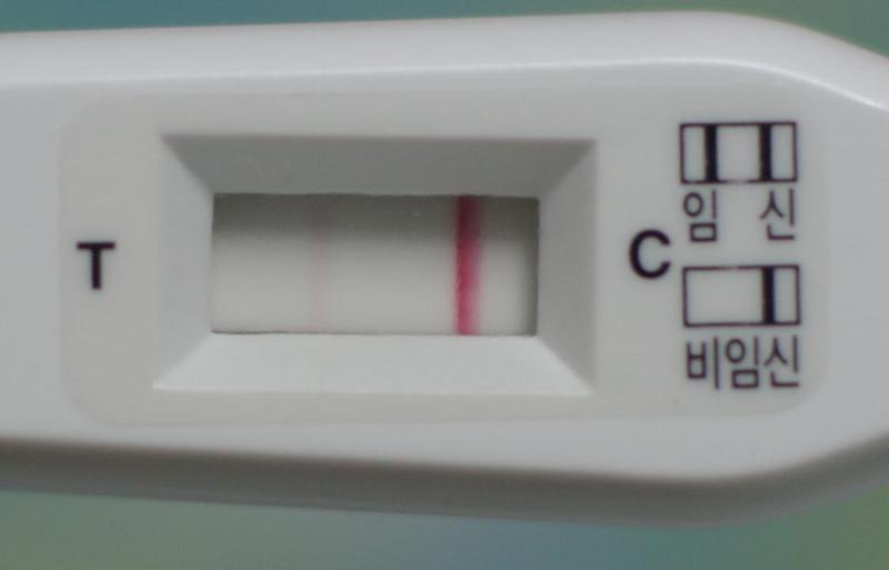 임신테스트기 과연 얼마나 정확할까??