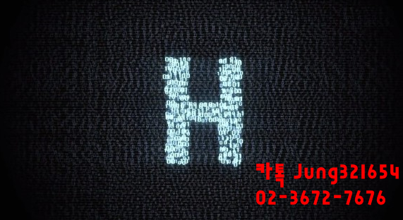 화이트해커 기초부터 심화까지
