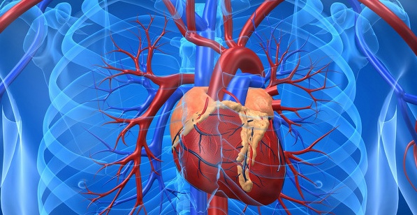 심뇌혈관질환 조기증상 신호 7가지
