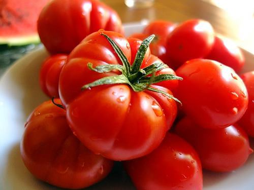‘토마토케첩 효능’과 토마토의 효능은 다를까?