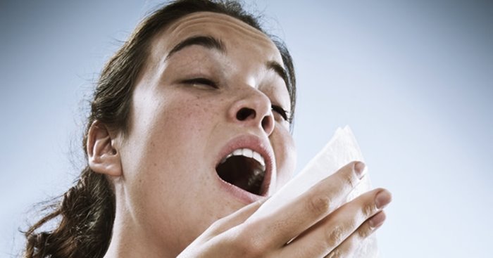 알레르기 유발 원인 10가지