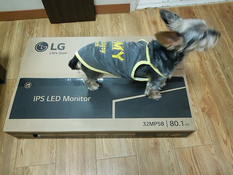 32인치 LG 모니터 IPS 패널 제품 후기, 32MP58HQW