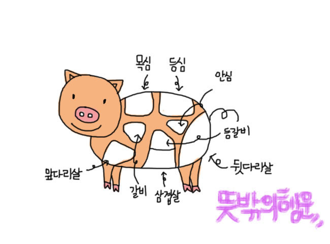 [생활속기초정보] 돼지고기 부위에 대해 알아보자 - 3부 -