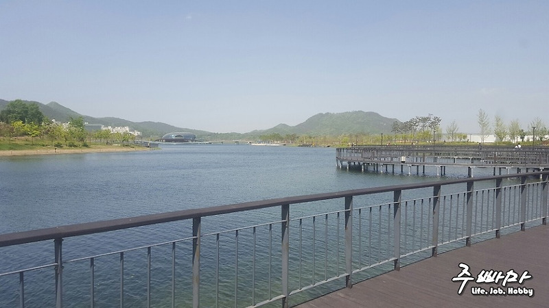 대전근교, 천안근교 가볼 만한 곳 세종 호수공원 산책하기