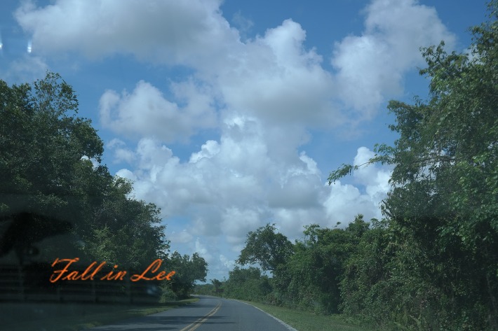 에버글레이즈 마이애미 근교 미국 캠핑 자동차 여행 Everglades National Park 미국 국립공원