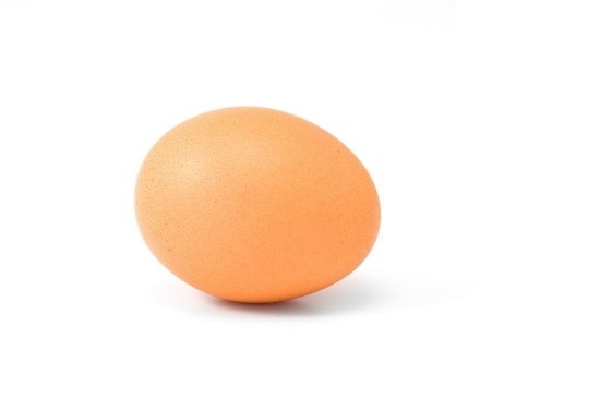 상한 계란 구별하는 초간단 방법 5가지