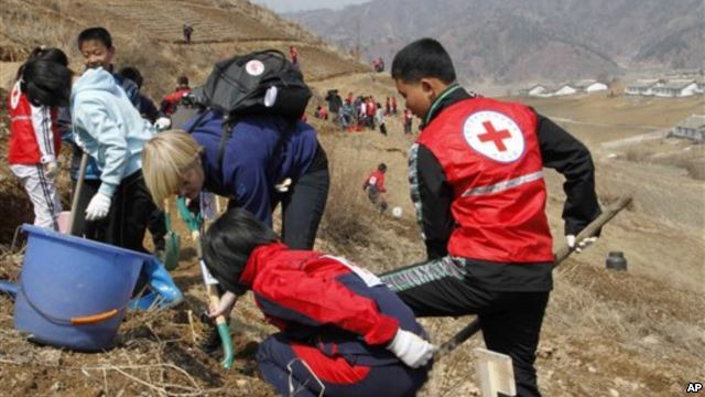 영국, 지난해 북한에 66만 달러 공적개발 원조 제공... 외부 세계와 협력 유도