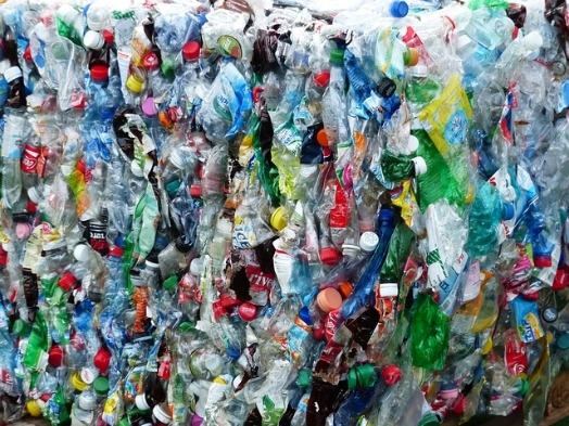 플라스틱의 유해성, 플라스틱 독성의 유무 확인방법