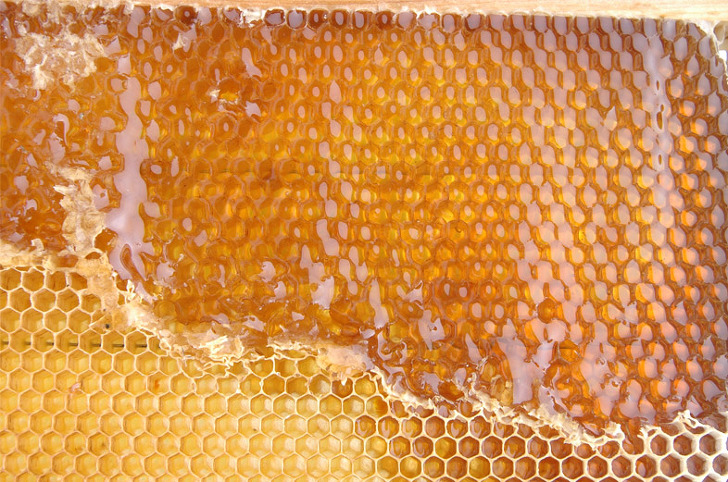 질병에 따른 꿀의 특급효능 18가지