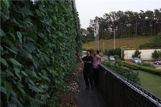 건물을 녹색으로 뒤덮는다...서울시농업기술센터 최초 '녹색커튼' 설치