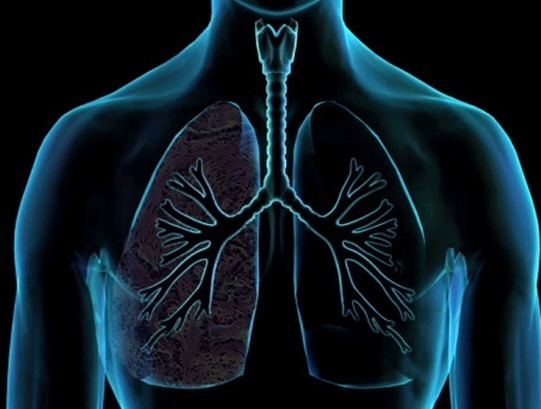 우리몸 중 폐와 대장이 약할 때 나타나는 증상 6가지
