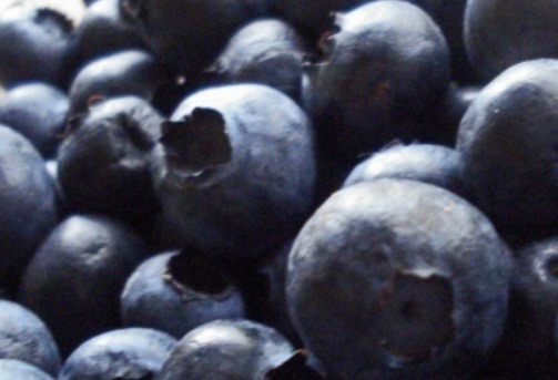 블루베리 효능 효과로 노폐물 배출, 블루베리 먹는법