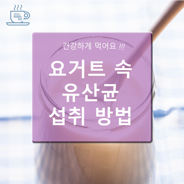 [카드뉴스] 요거트 속 유산균 섭취 방법
