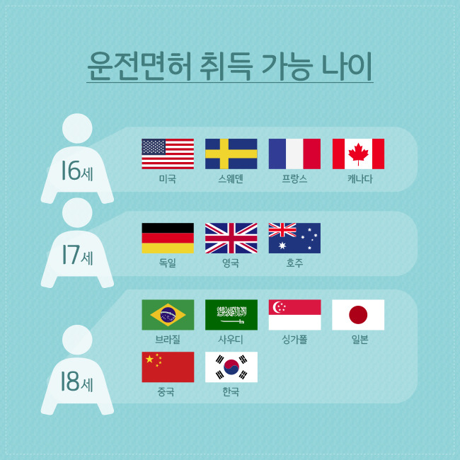 운전면허 따는 기간, 한국은 13시간 호주는 120시간?