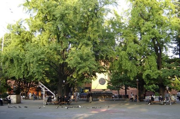 혜화 마로니에 공원 이름의 유래는 나무에서 나왔다.