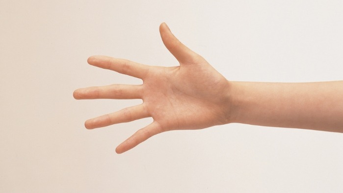 각 손가락의 특징과 의미