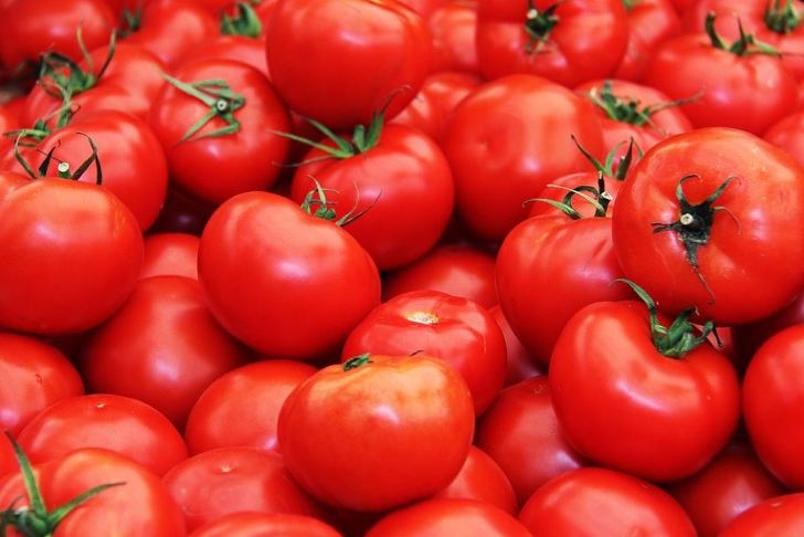 천국의 과일 토마토의 효능 8가지