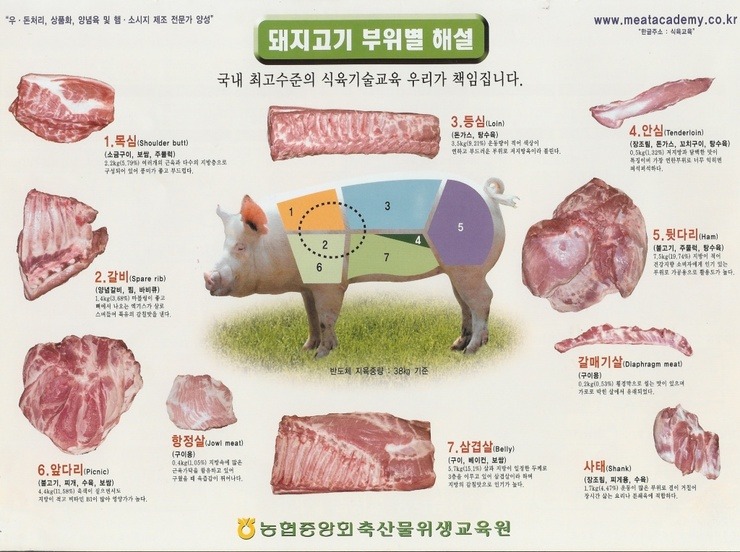 한국에서 가장 많이 소비되는 육류 돼지고기를 알아보자