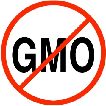 GMO란? GMO 사용기업, GMO 유전자조작 식품