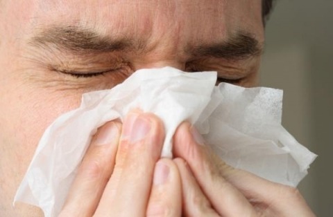 비염의 원인, 알레르기성 비염과 만성 비염의 특징