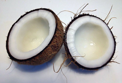 코코넛오일(Coconut Oil)속 라우르산 성분