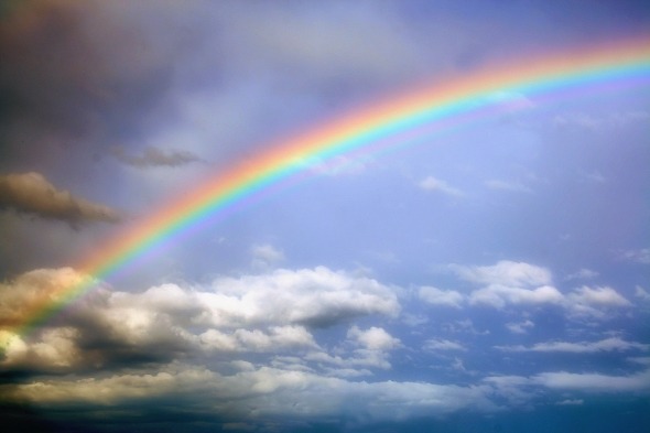 무지개 Rainbow