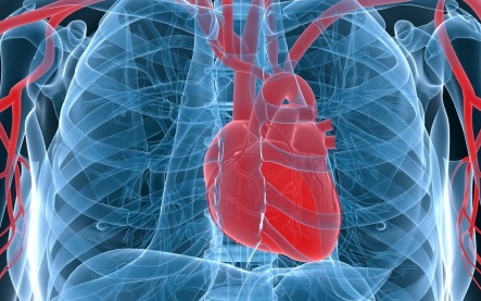 심장마비를 조기에 알 수 있는 7가지 신호