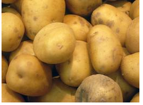 감자의 효능 7가지