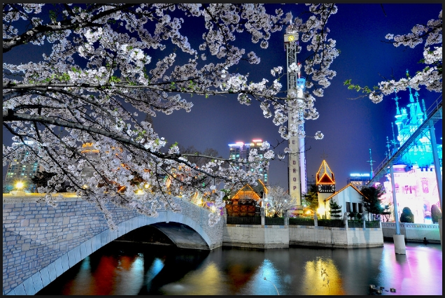 서울벚꽃명소 봄꽃축제 서울에서 즐기자