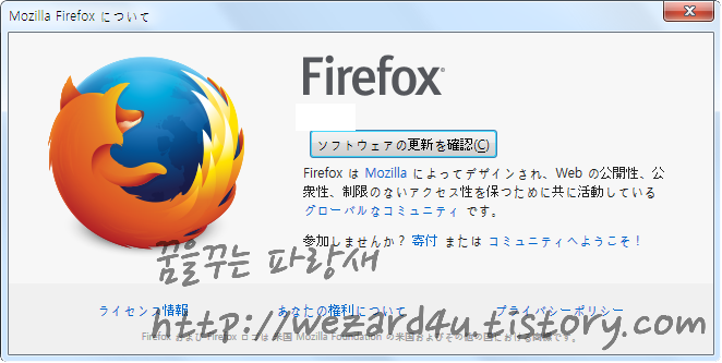 파이어폭스 45.0(Firefox 45.0)보안 업데이트