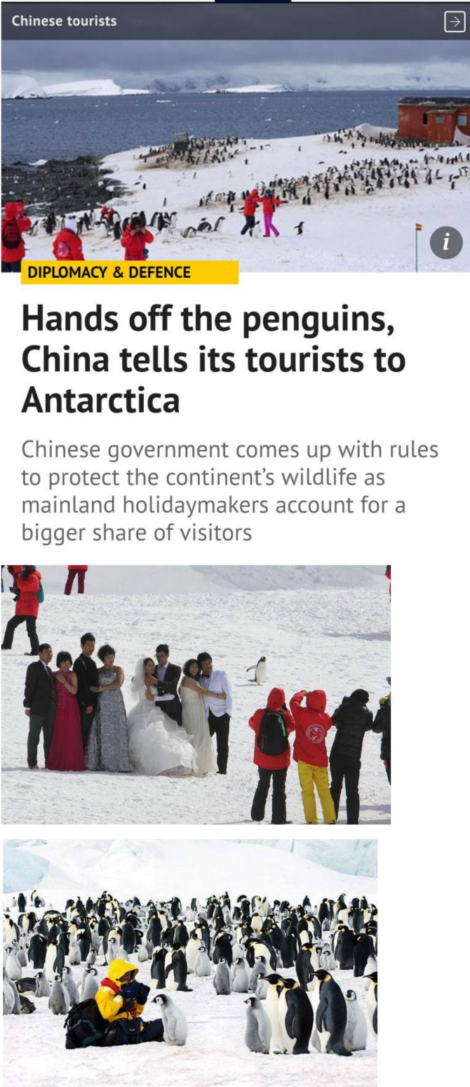 중국 관광객들 근황