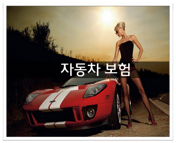 자동차보험
