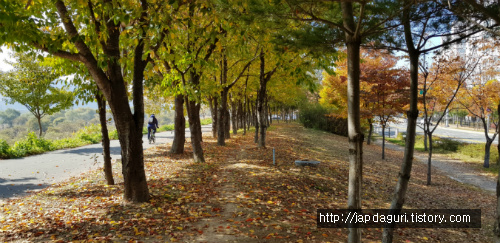 가을에 더 멋진 대구 율하체육공원