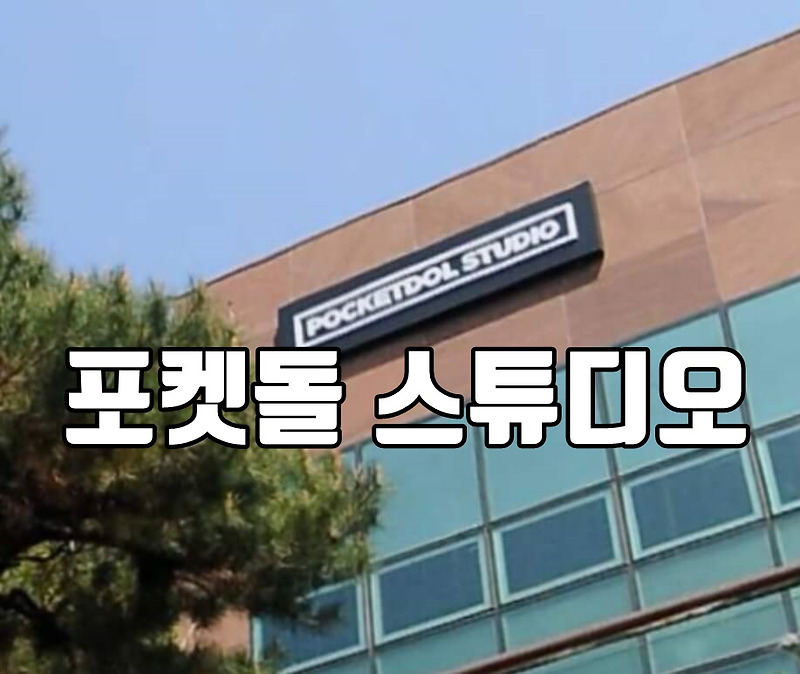 포켓돌 스튜디오 대표, 소속 연예인