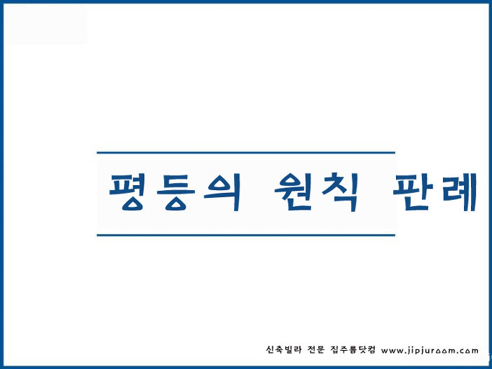 행정법의 일반원칙 평등의원칙 판례