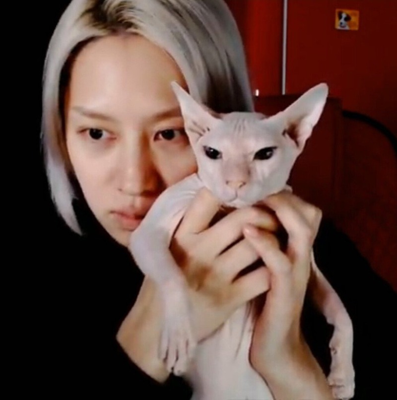 설리가 키우던 고양이를 유튜브 라이브에서 공개한 김희철