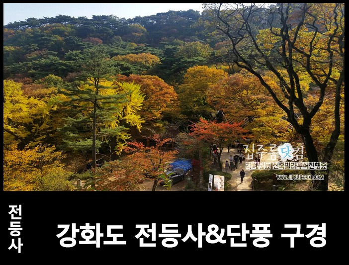 강화도 여행 가을 단풍에 빠진 전등사