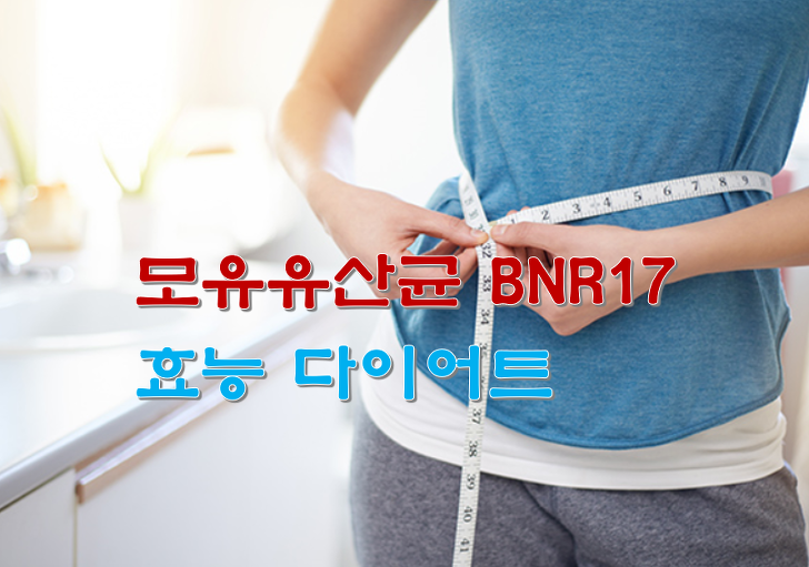 모유유산균 BNR17 효능 다이어트