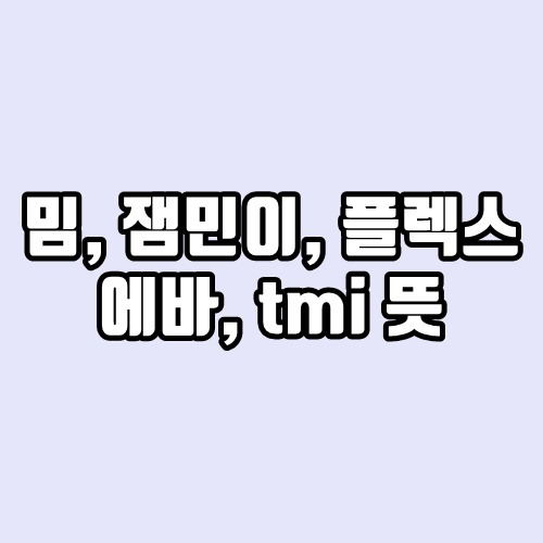 신조어 정리1 - 밈, 잼민이, 플렉스, 에바, tmi 뜻