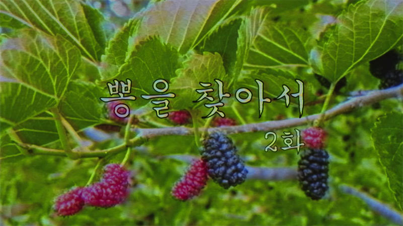 DJ '250', 뽕을 찾아서 2화 공개