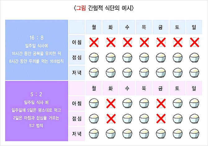 간헐적 다이어트