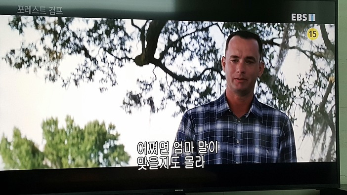 포레스트 검프 다시 보다
